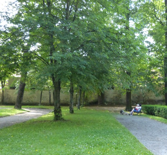 Vkend otvorench parkov a zhrad aj v katieli v Markuovciach